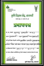 Award Recognition